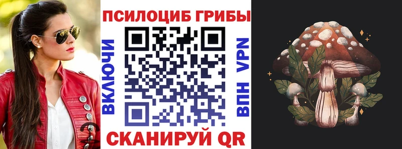 Псилоцибиновые грибы Psilocybine cubensis  мориарти телеграм  Тавда 